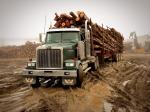 Western Star 4900 FA Logging Truck 2008 года